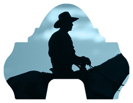 DARAY-L-360-BL Cowboy Blue